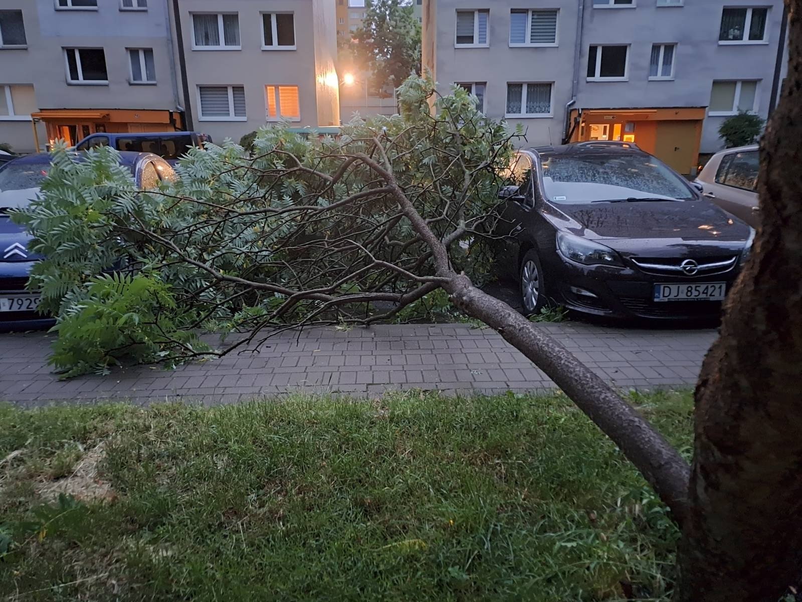 suzby-usuwaja-szkody-po-nawanicy-116472