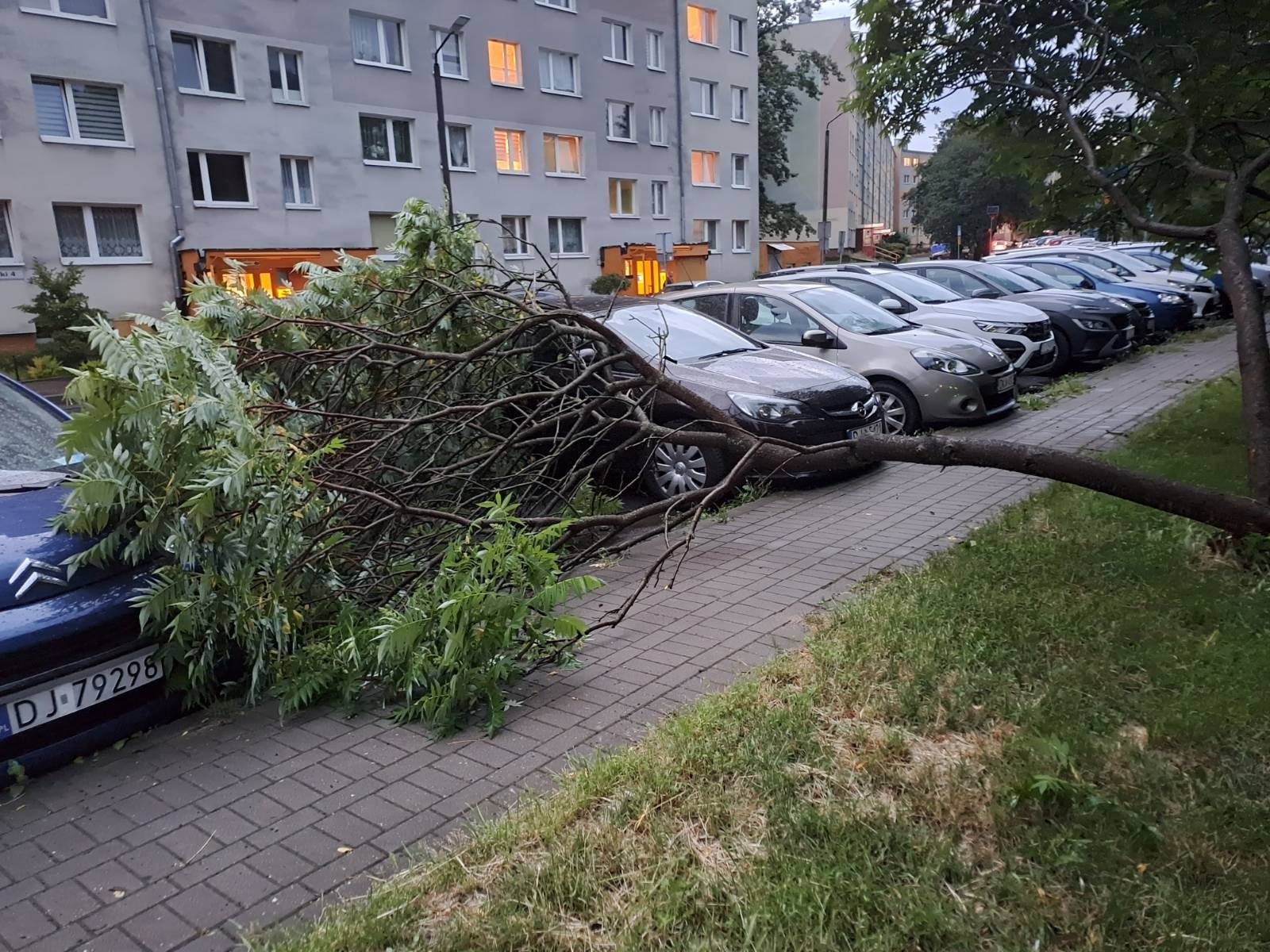 suzby-usuwaja-szkody-po-nawanicy-116472