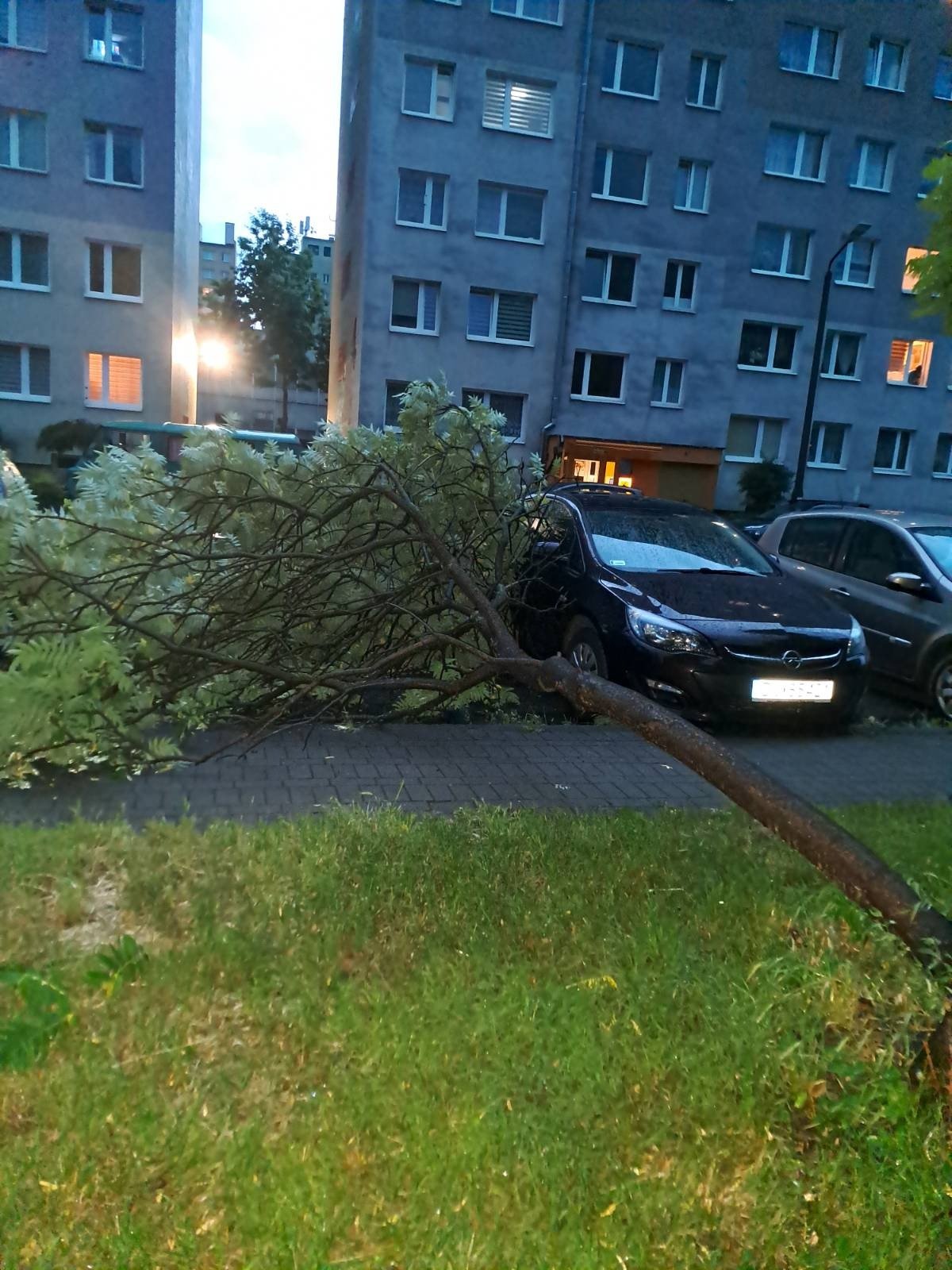 suzby-usuwaja-szkody-po-nawanicy-116472