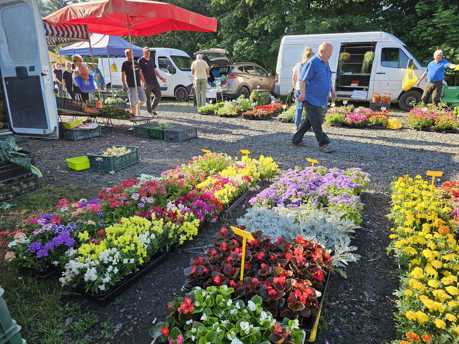 targowisko-roznosci-na-cieplickiej-giedzie-116499