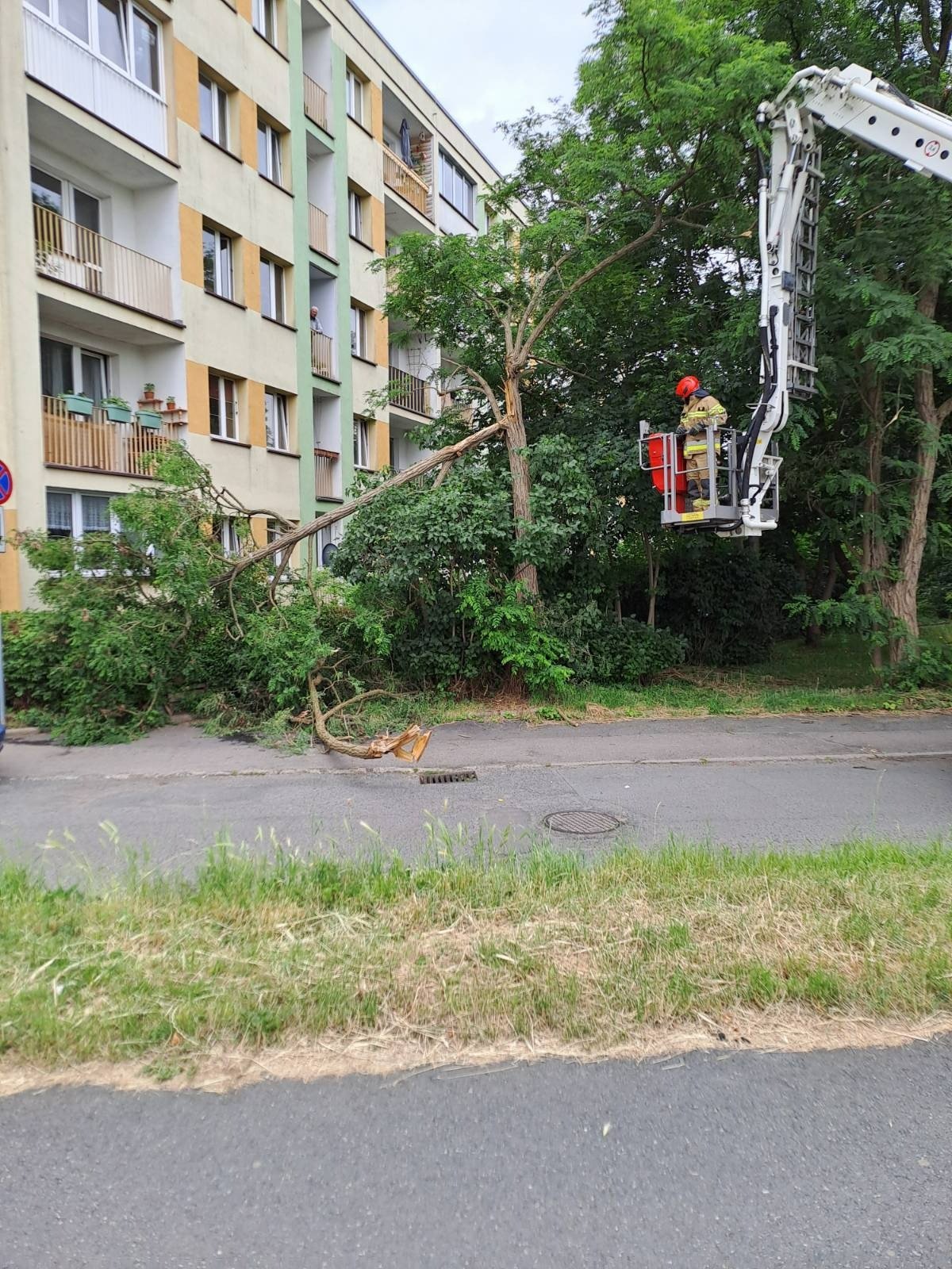 akcja-na-szymanowskiego-116581