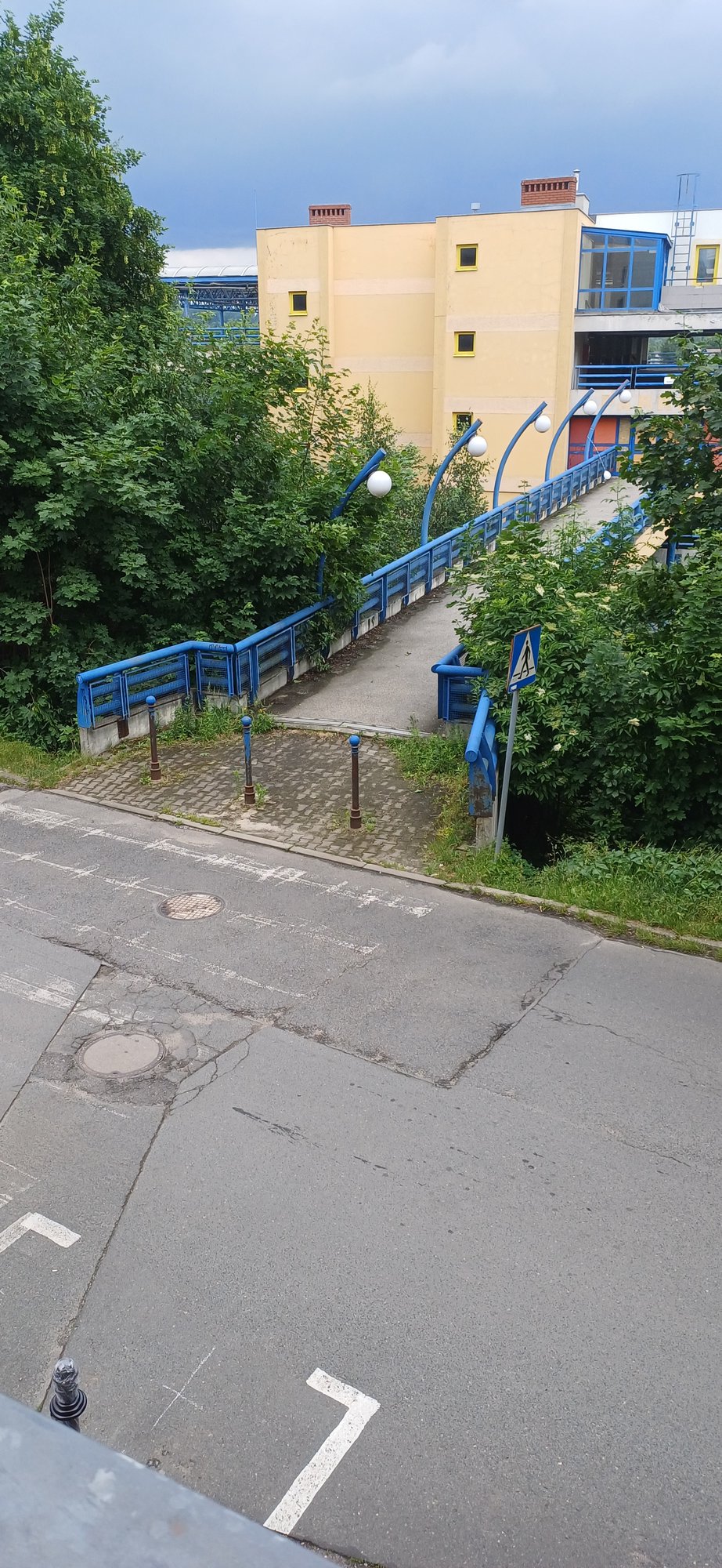 absurd-drogowy-116586