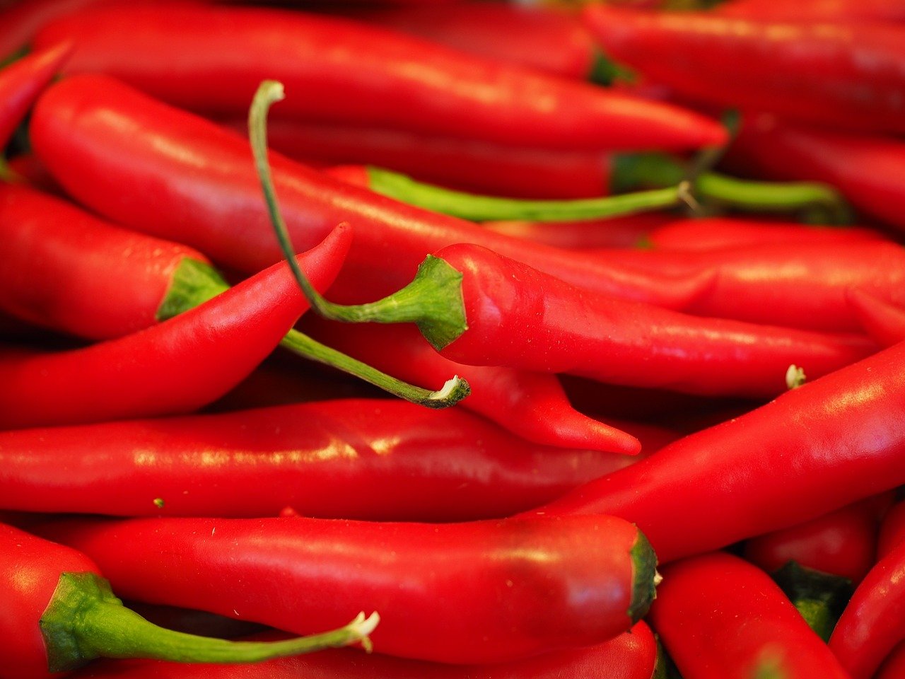 dzien-papryczki-chili-116610