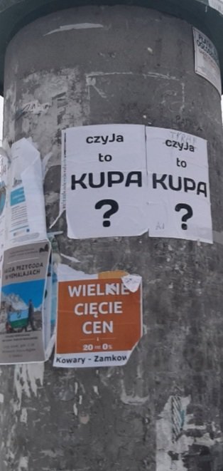 czyja-to-kupa-116649