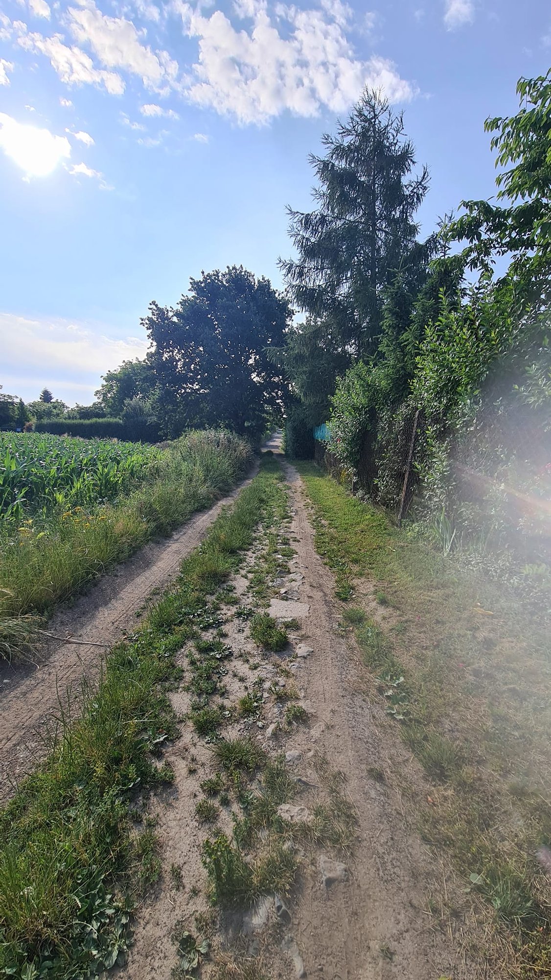 nowa-sciezka-rowerowa-116700