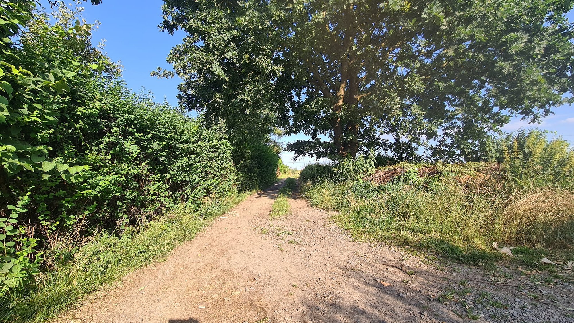 nowa-sciezka-rowerowa-116700