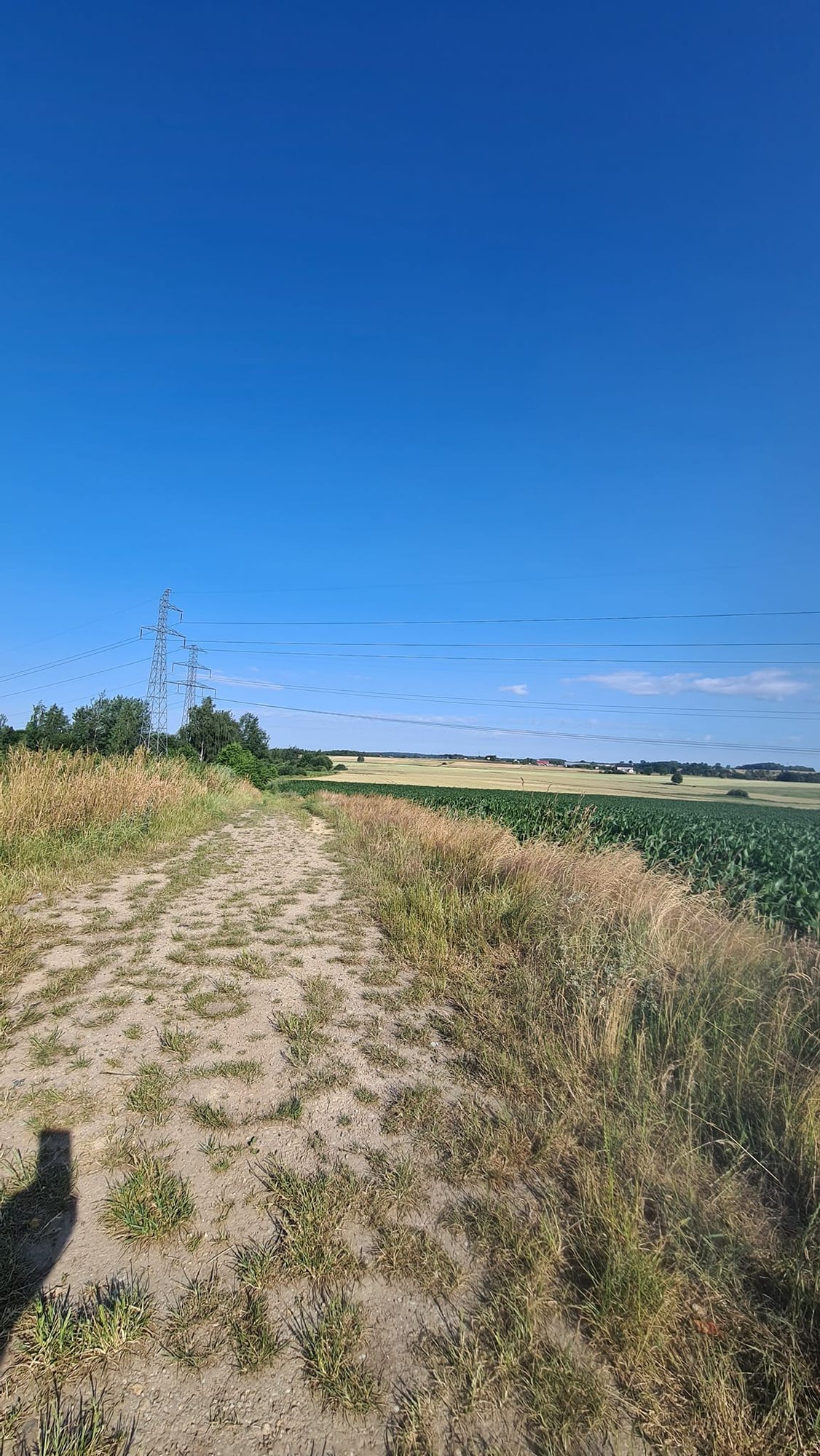 nowa-sciezka-rowerowa-116700