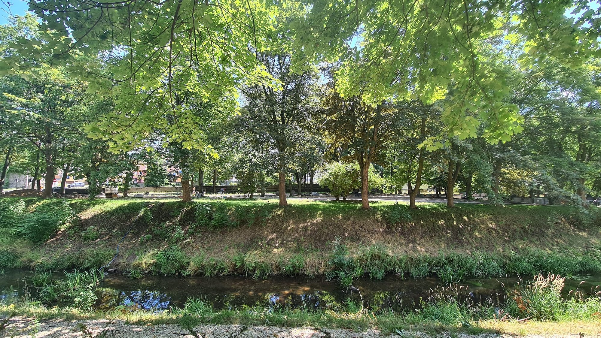 park-pieknieje-116752