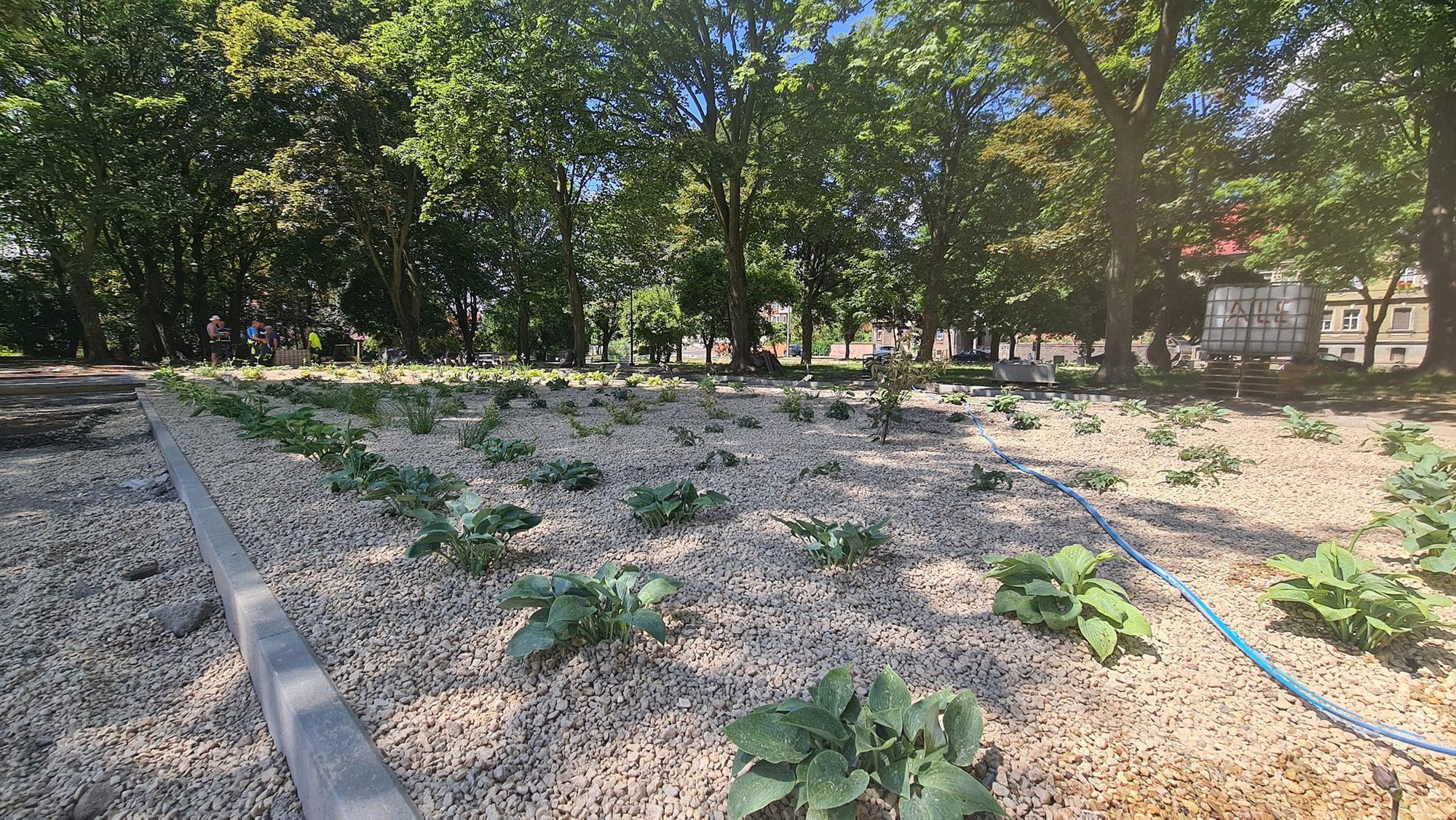 park-pieknieje-116752