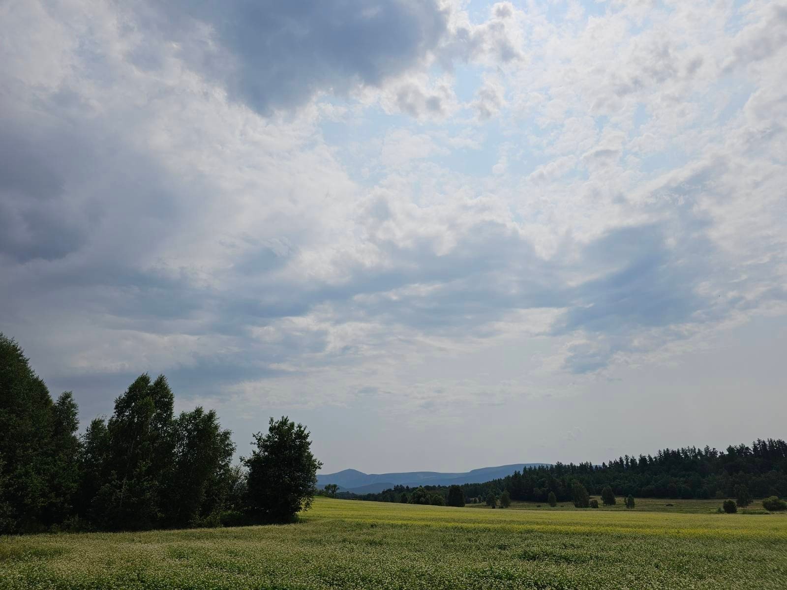 spodziewane-burze-deszcz-i-silny-wiatr-aktualizacja-116809