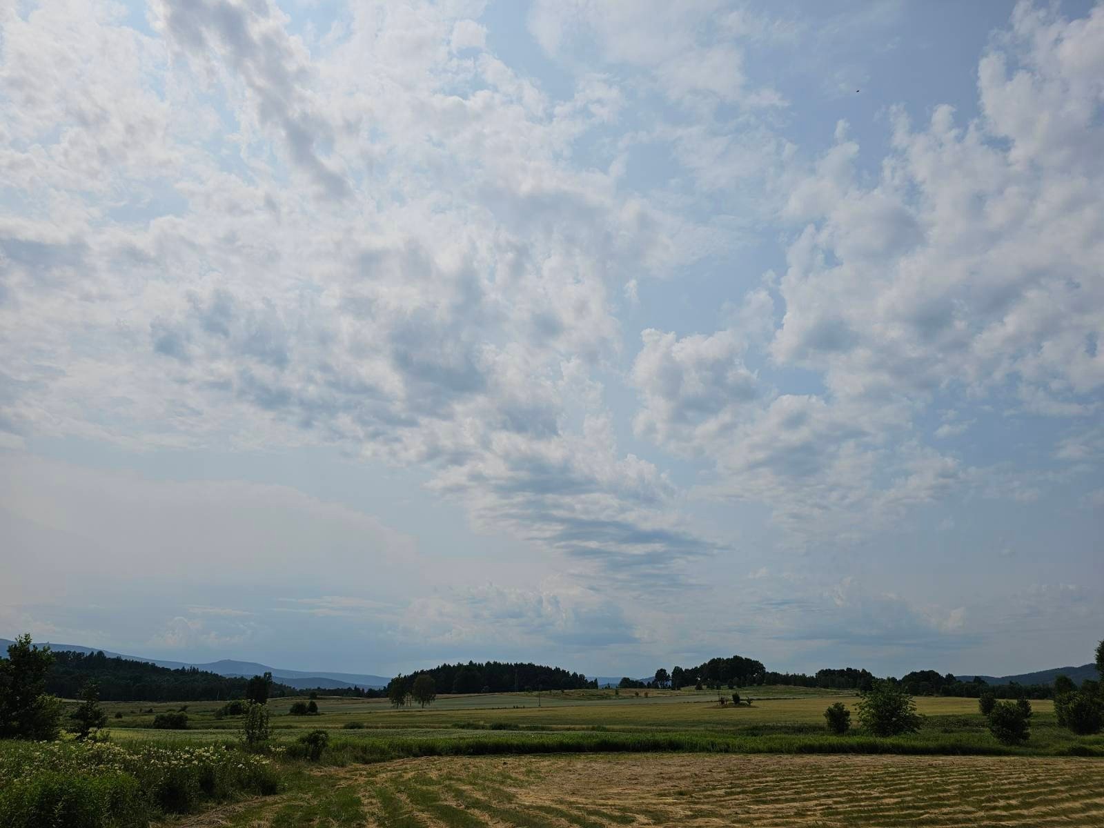 spodziewane-burze-deszcz-i-silny-wiatr-aktualizacja-116809