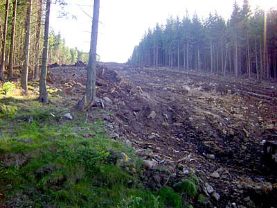 gondola-na-szczyt-11682