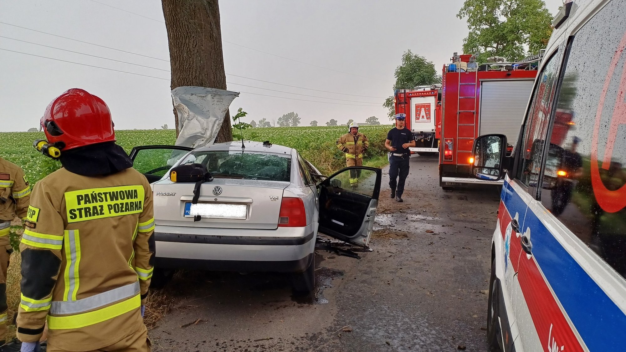 znow-smierc-na-drodze-116822