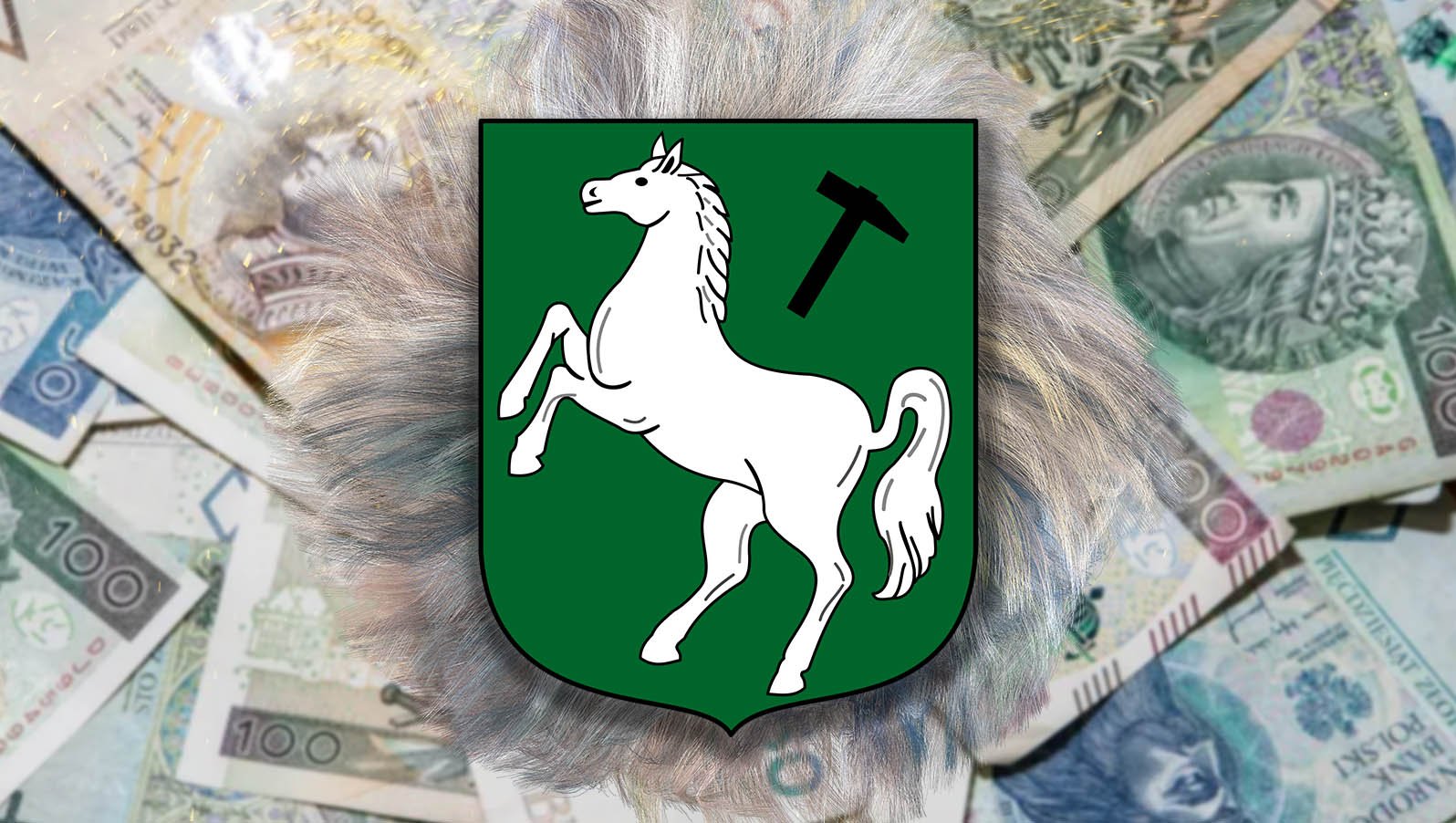 przeswietlamy-majatki-radnych-kowary-116955