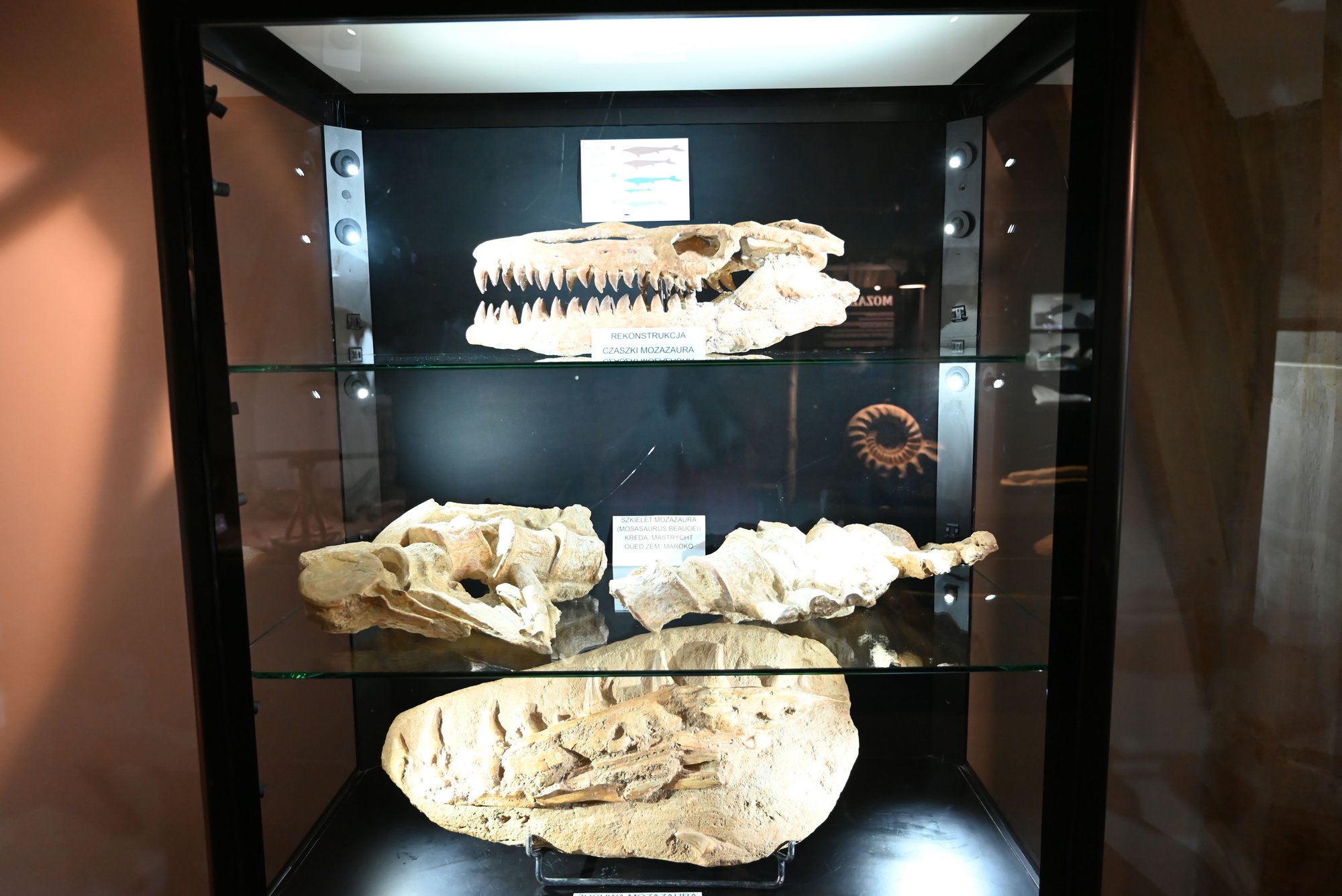 trwa-agatowe-swieto-116963