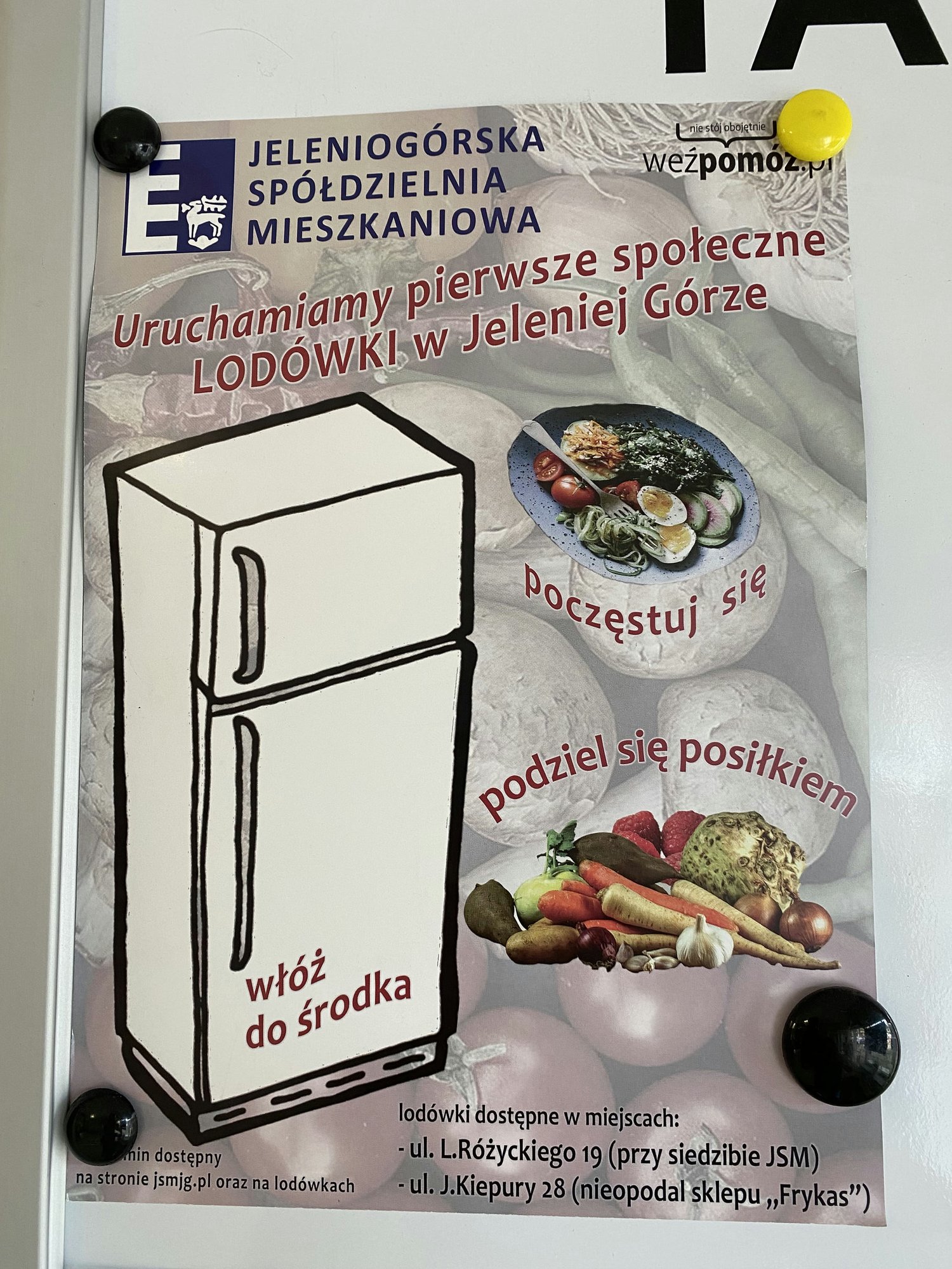 puste-lodowki-spoeczne-116982