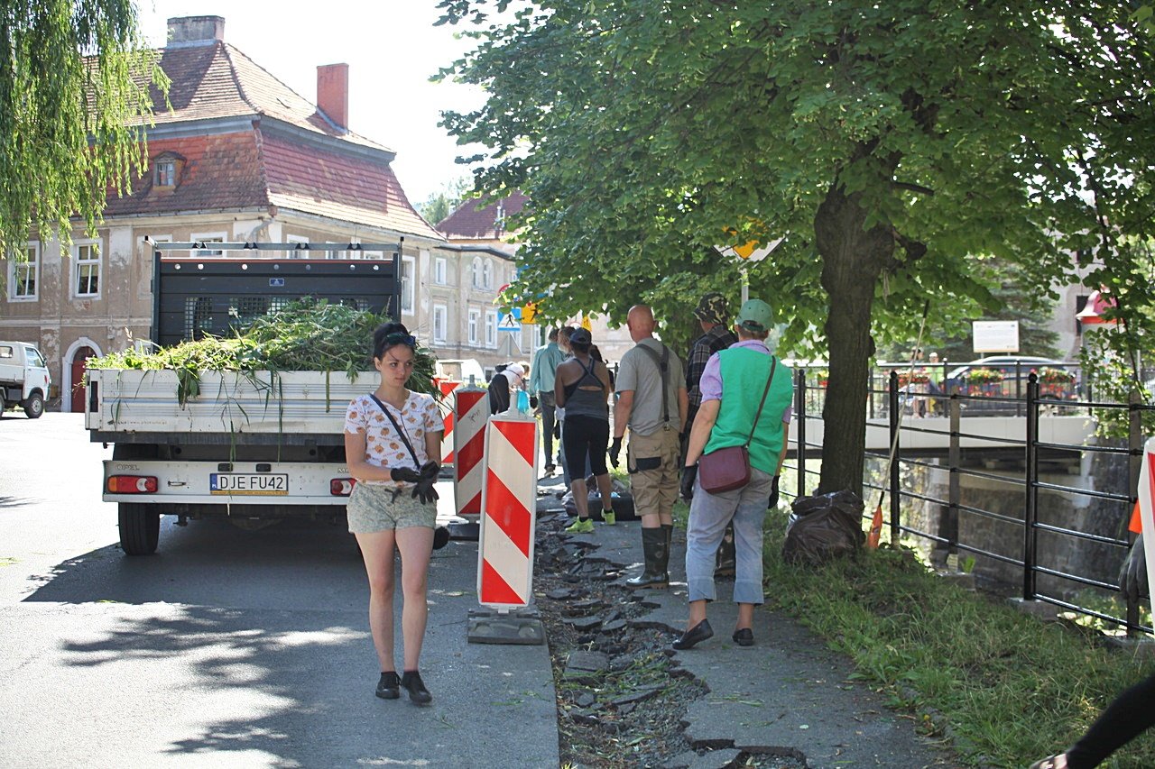 sprzatanie-jedlicy-117061