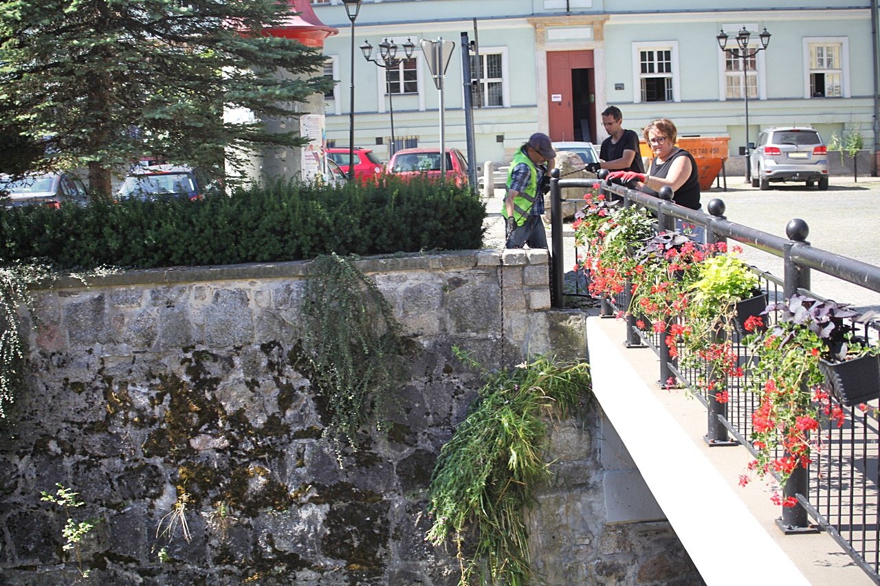 sprzatanie-jedlicy-117061