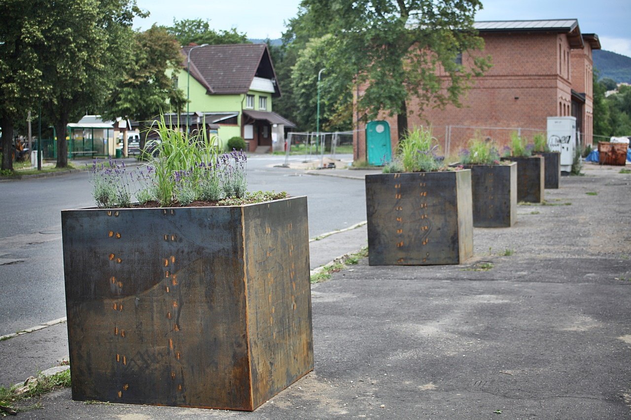 wiecej-zieleni-117142