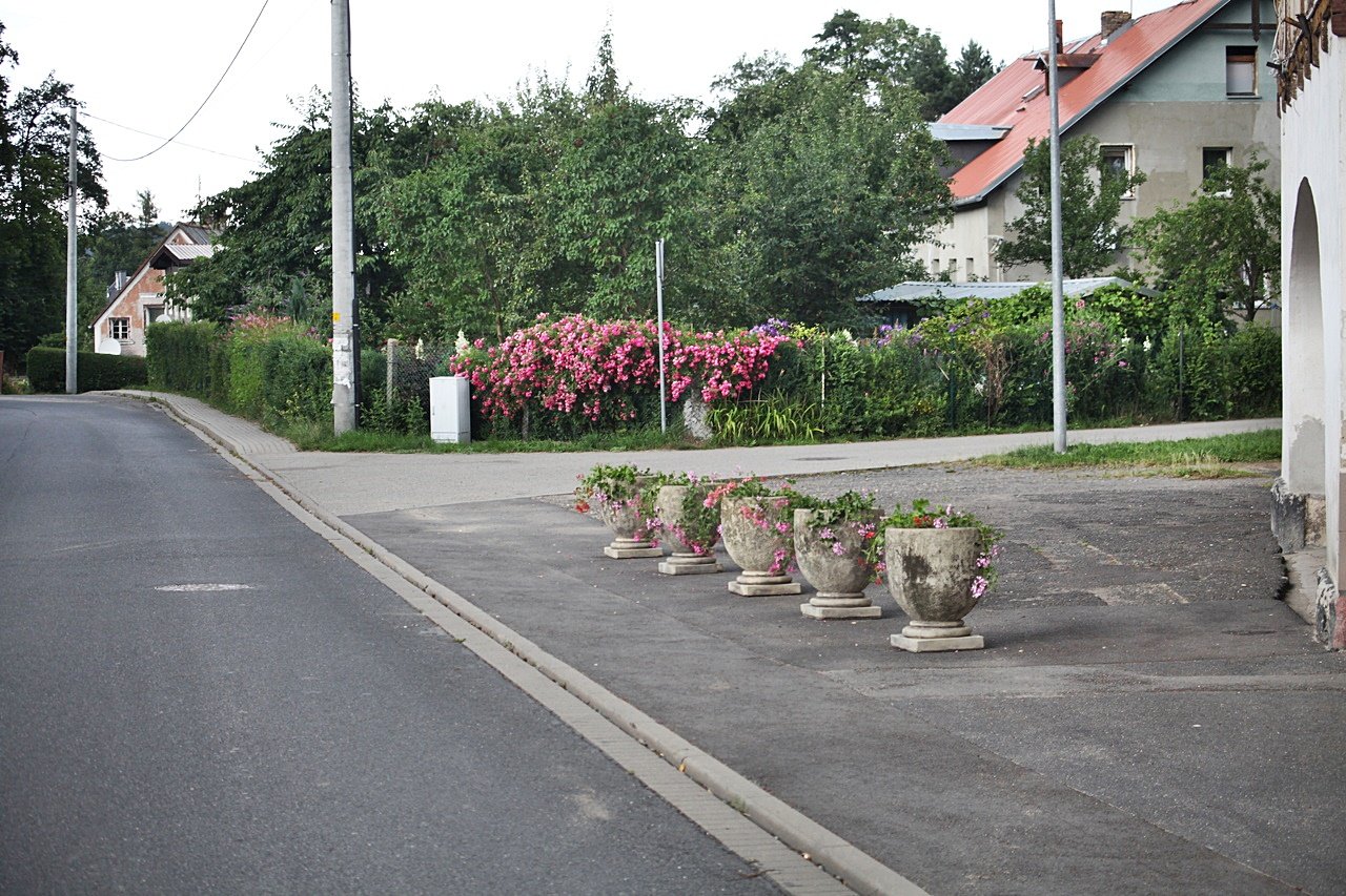wiecej-zieleni-117142