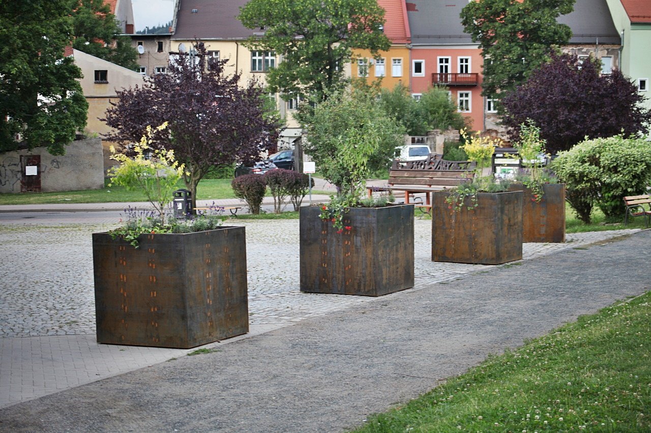 wiecej-zieleni-117142