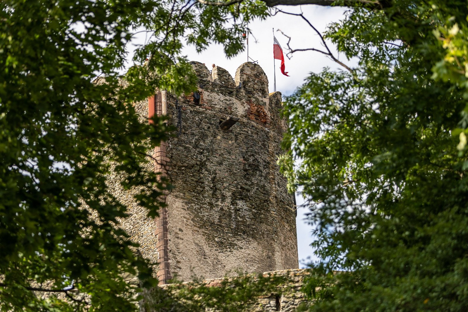 dziao-sie-na-zamkach-117152