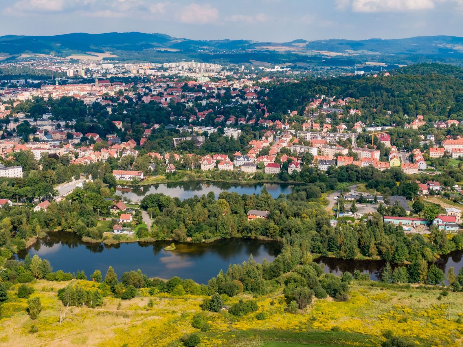 przejscie-toaleta-i-siedliskiem-kleszczy-117199