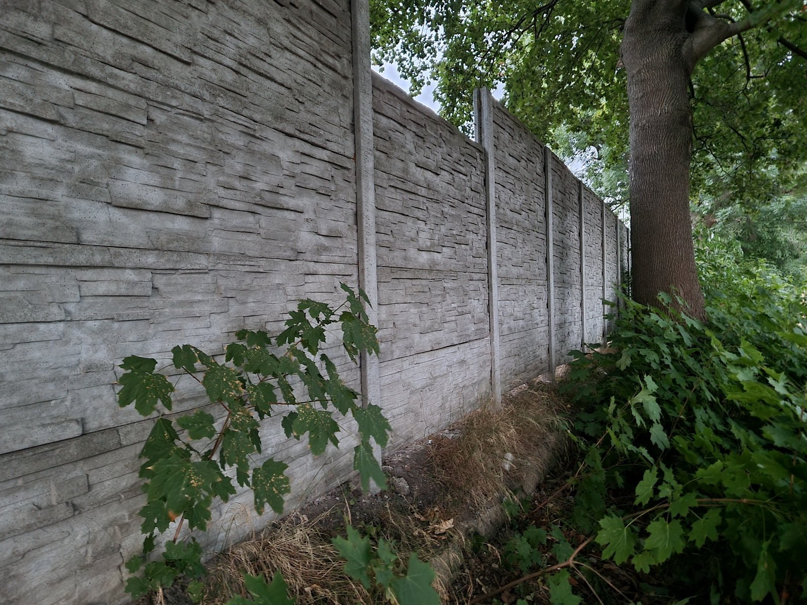 grozny-wypadek-przez-wandali-wracamy-do-tematu-117275