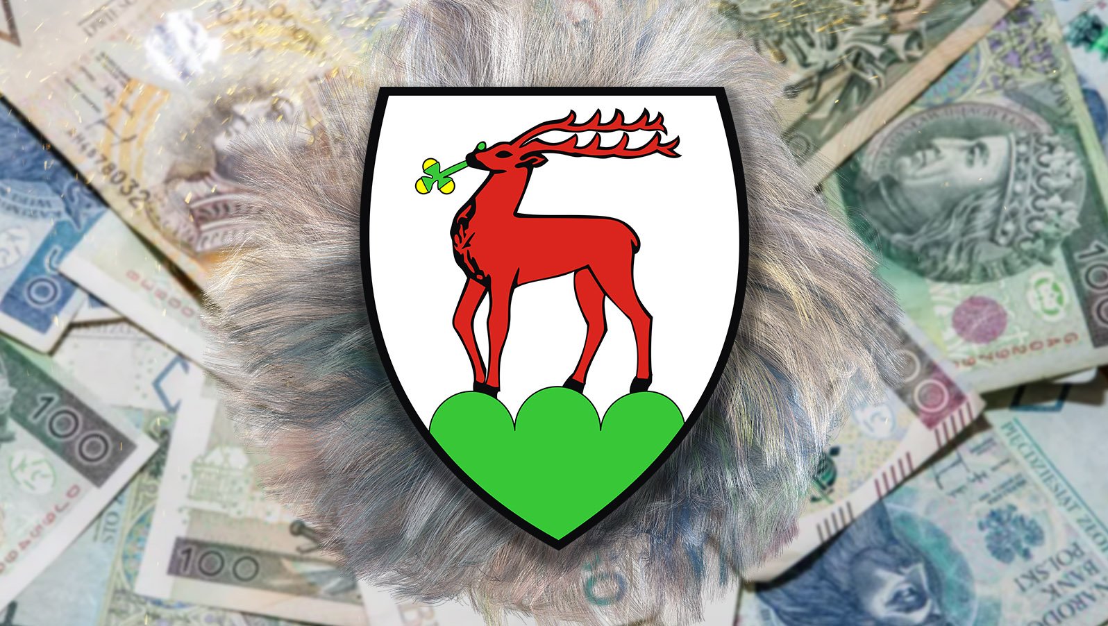 przeswietlamy-majatki-radnych-jelenia-gora-miasto-117303