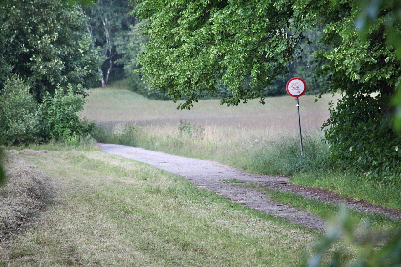 wyapie-fotopuapka-117308