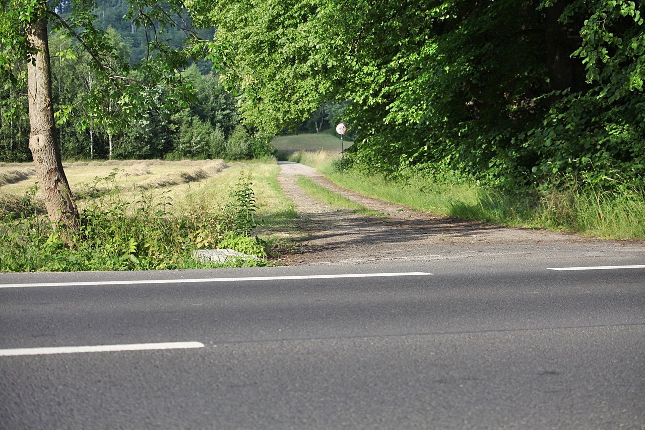 wyapie-fotopuapka-117308