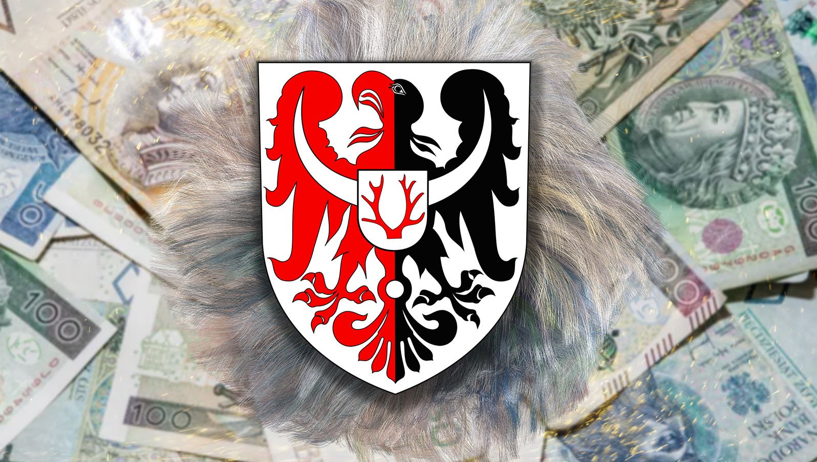 przeswietlamy-majatki-radnych-powiat-karkonoski-117414