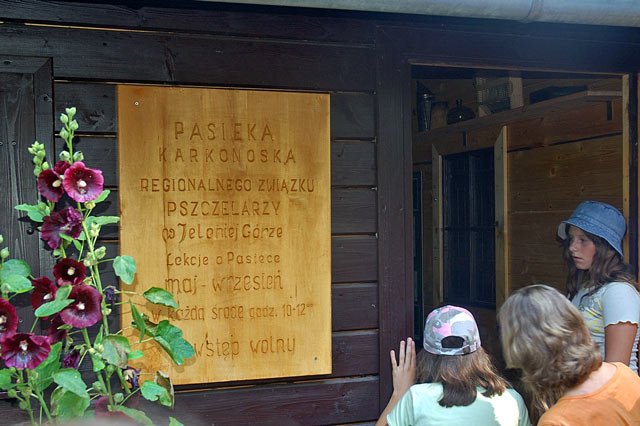 podgladacze-rojow-11743