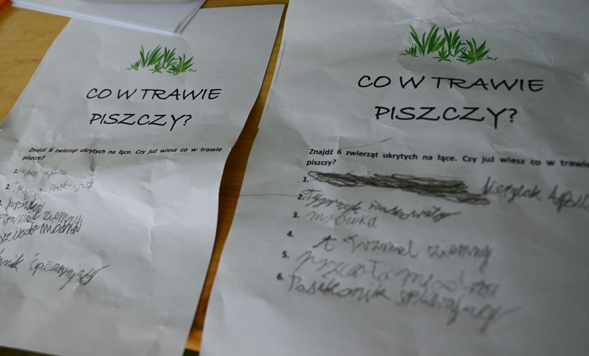co-w-trawie-piszczy-117434
