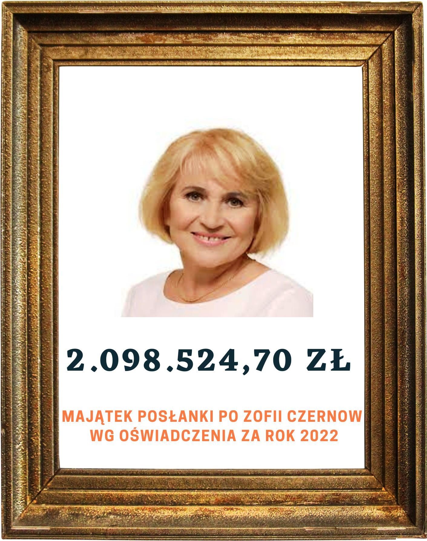 miliony-zofii-czernow-117492