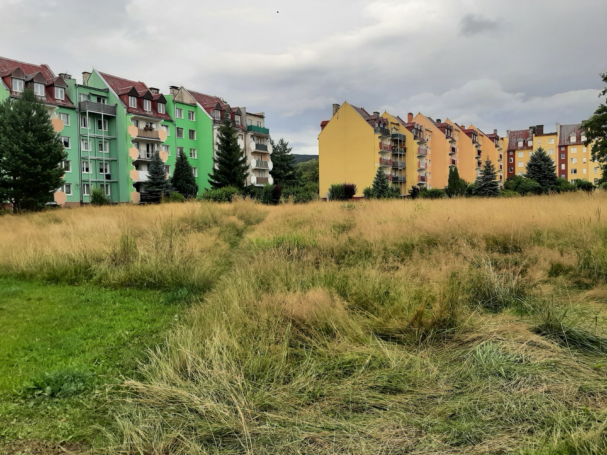 mieszkancy-pisza-do-urzedu-117513