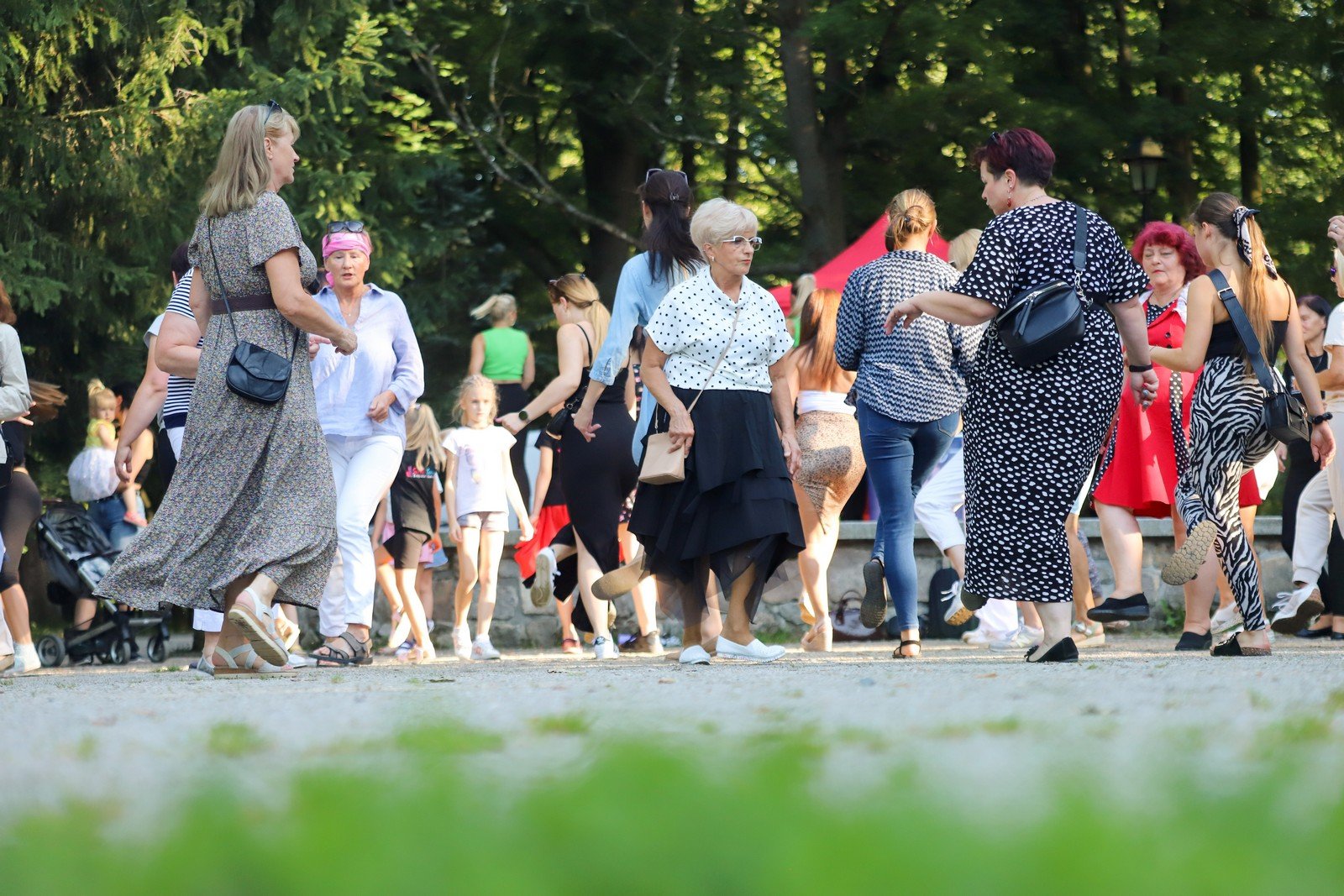 roztanczony-park-117616