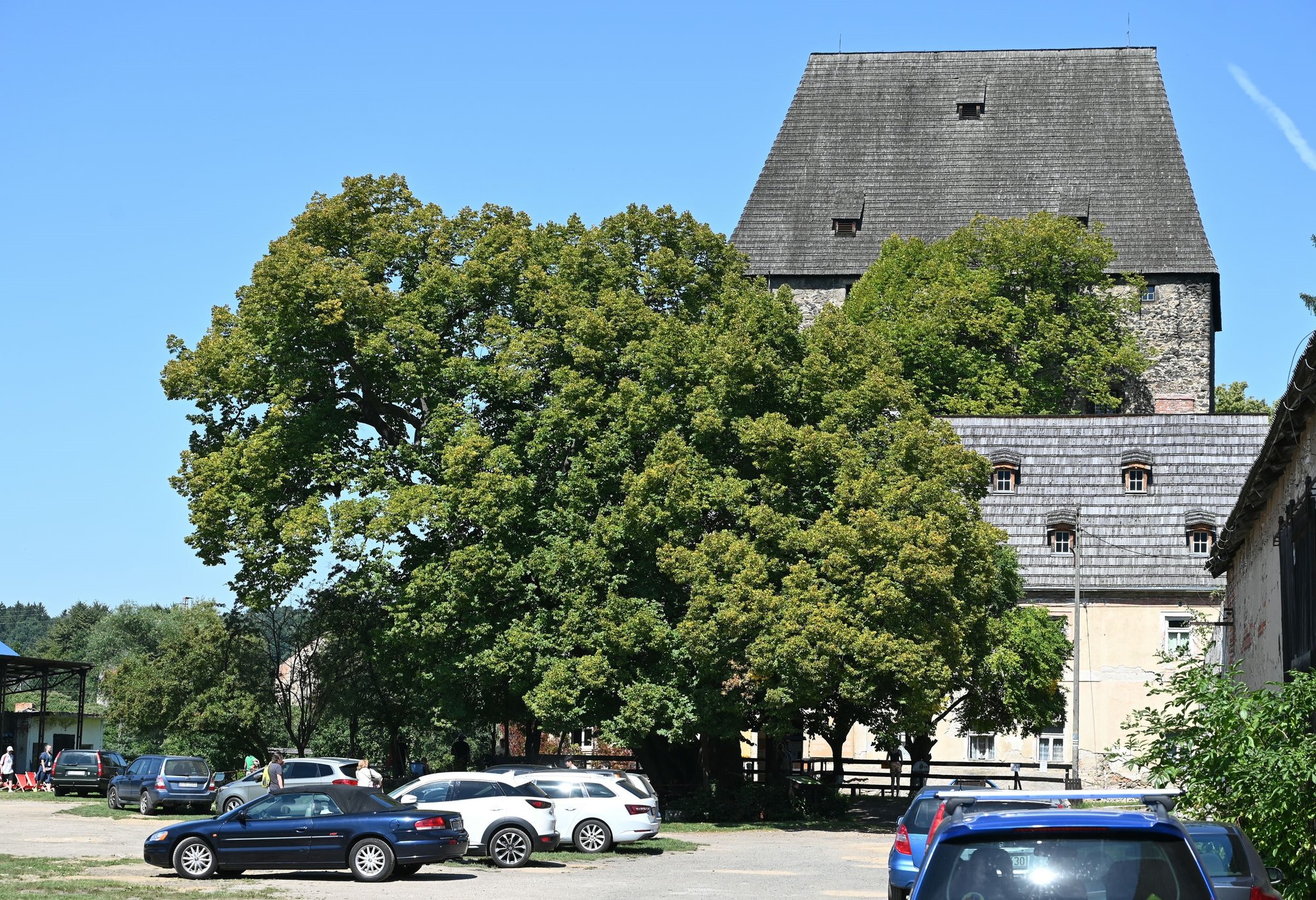 tajemnice-wiezy-ksiazecej-117698