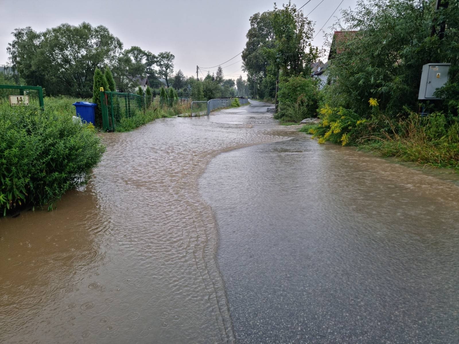 trzcinska-tez-pywa-117792