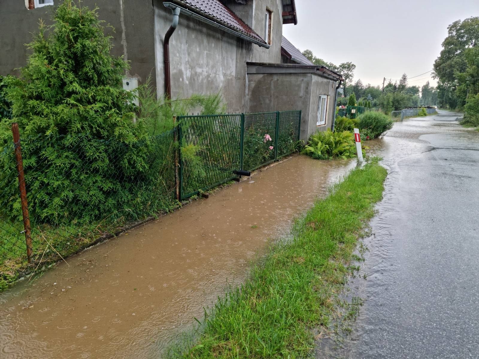 trzcinska-tez-pywa-117792