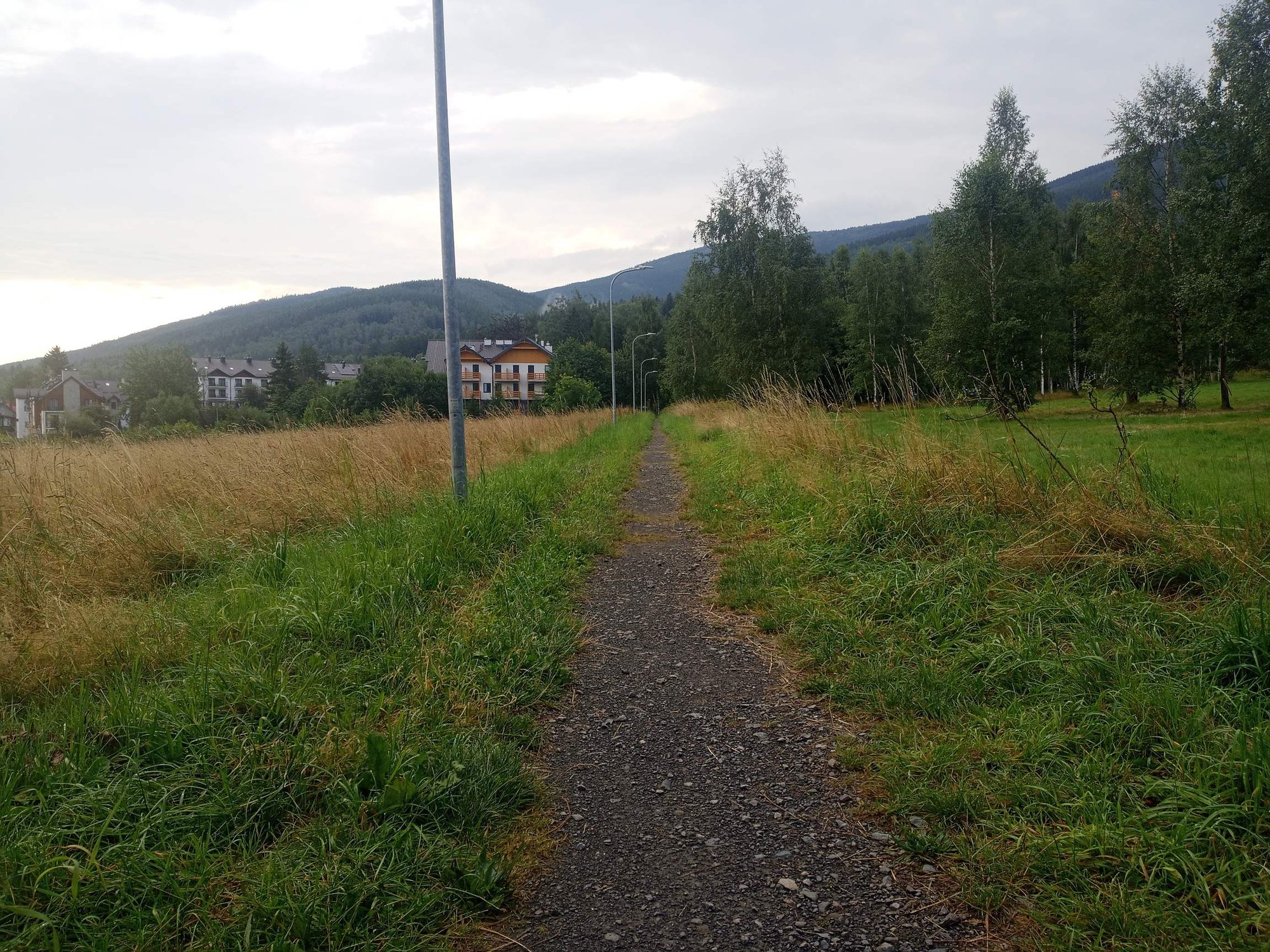 zaniedbana-sciezka-radny-dziaa-117824