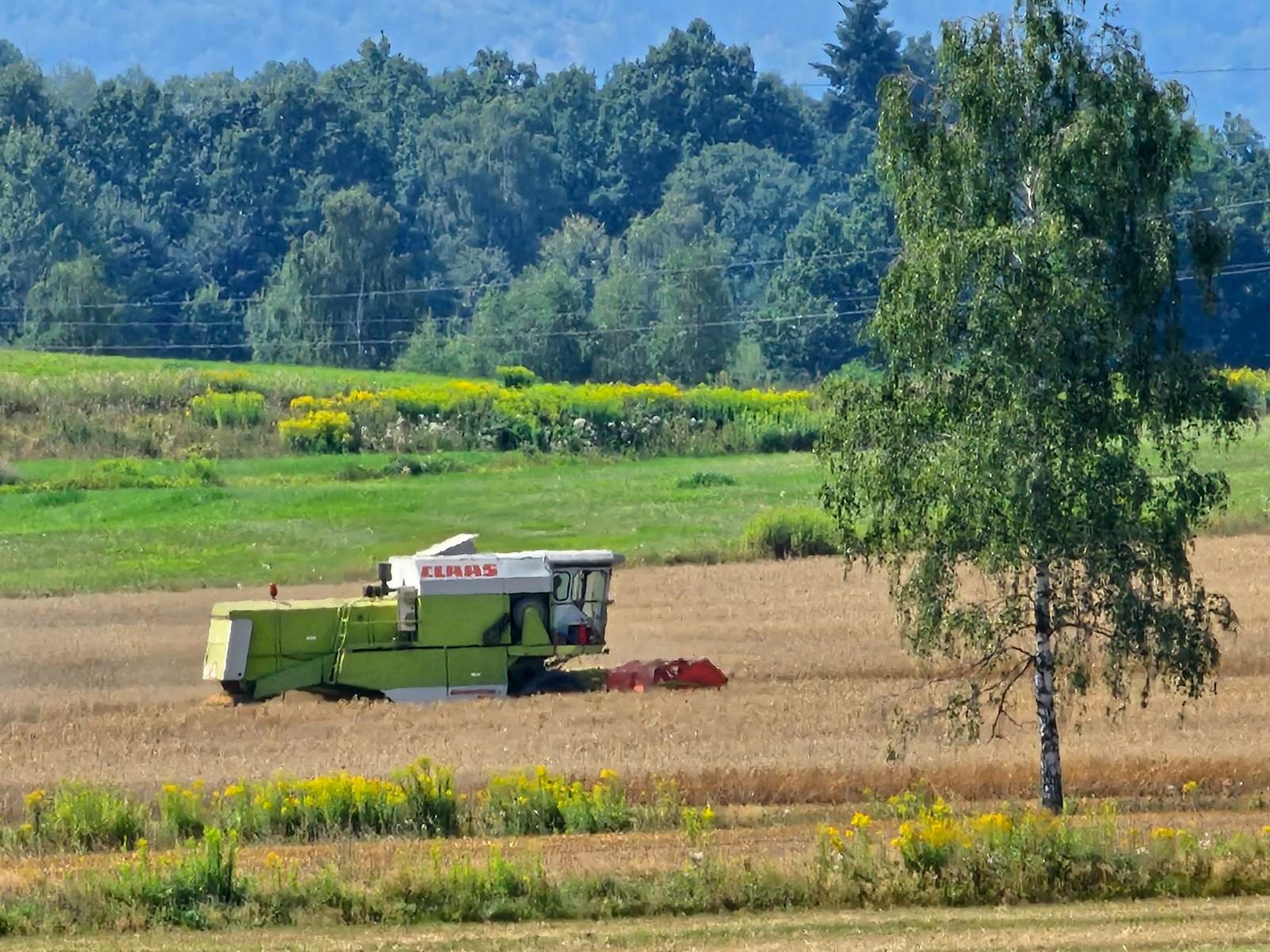 rolnicy-kosza-plony-117885