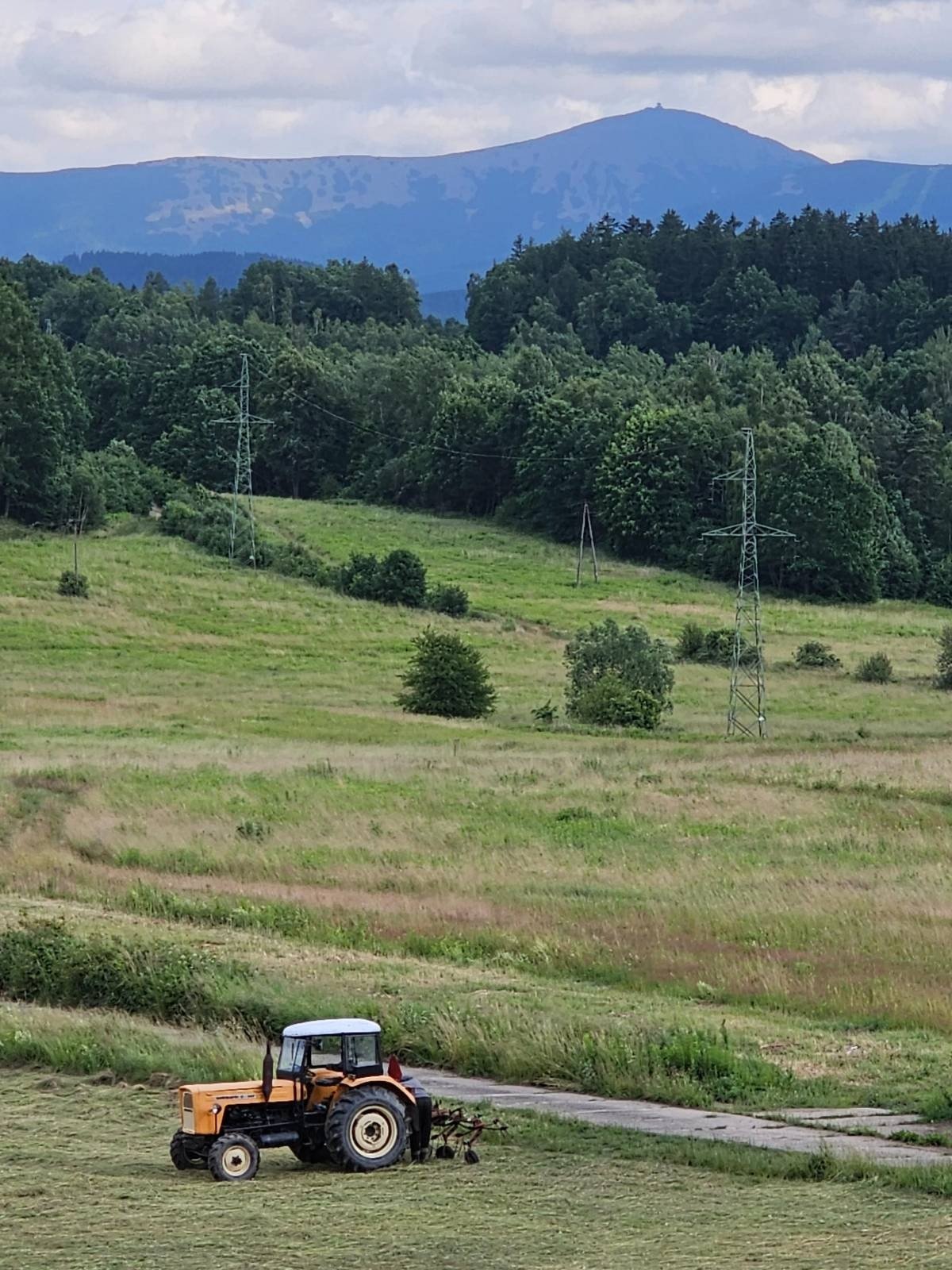 rolnicy-kosza-plony-117885