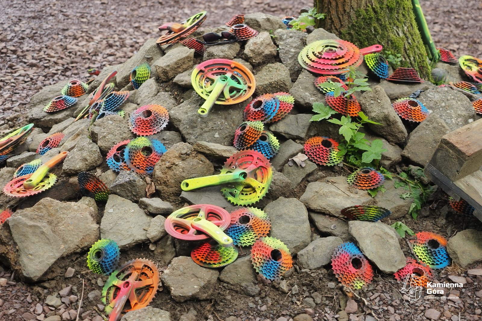pompon-z-pompa-117910