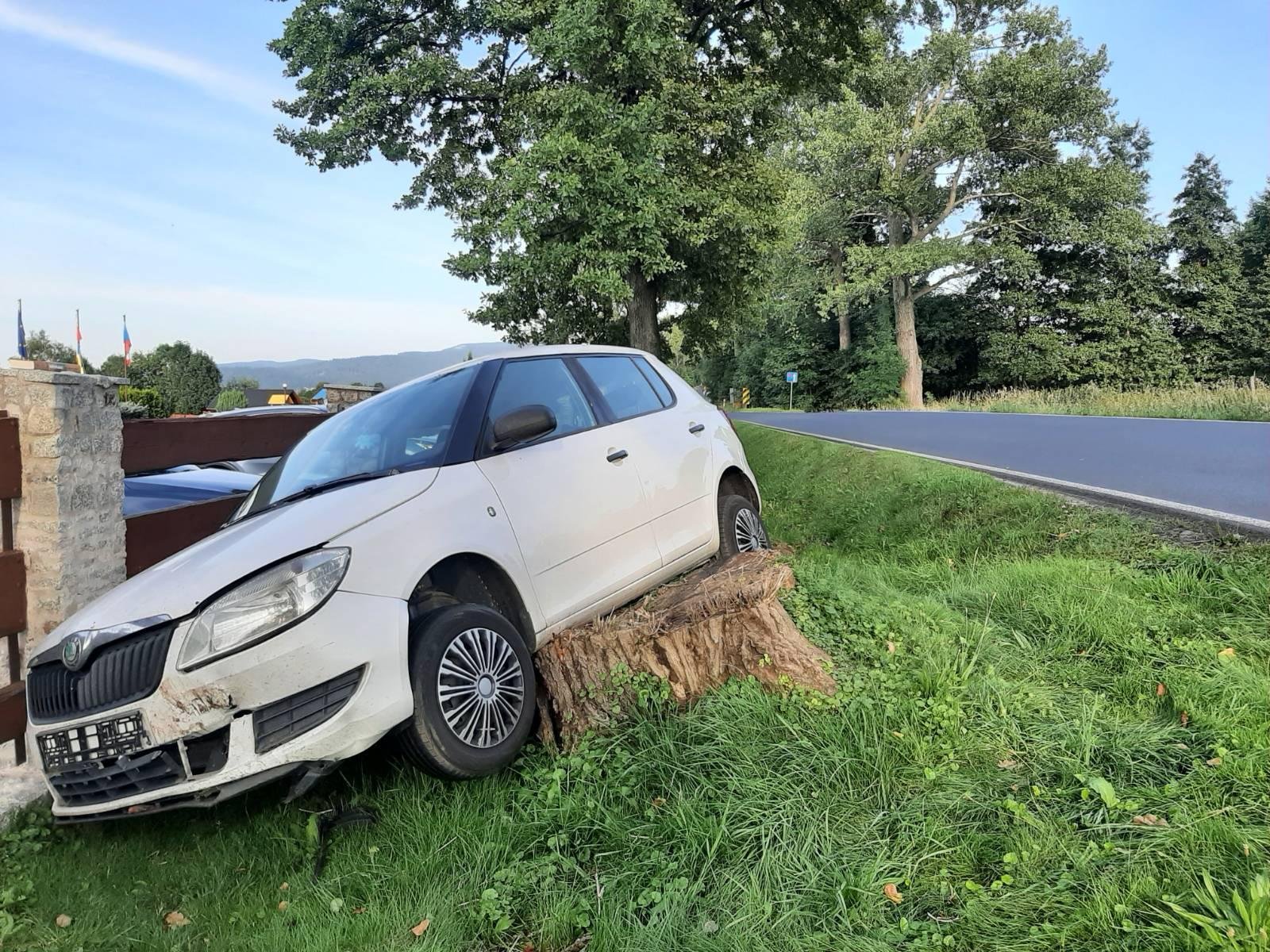 fabia-w-pniaka-117981