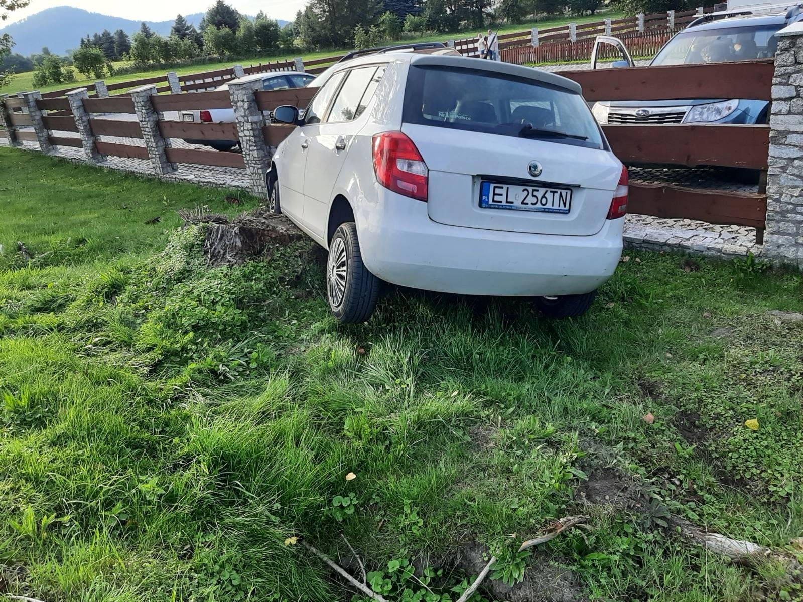 fabia-w-pniaka-117981