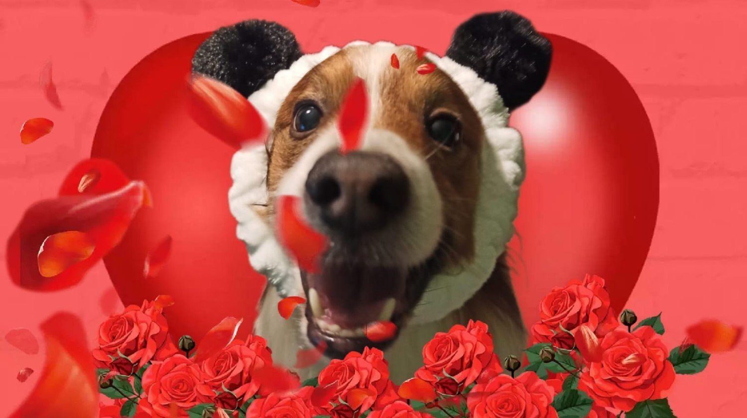 pomagamy-rocky-117992