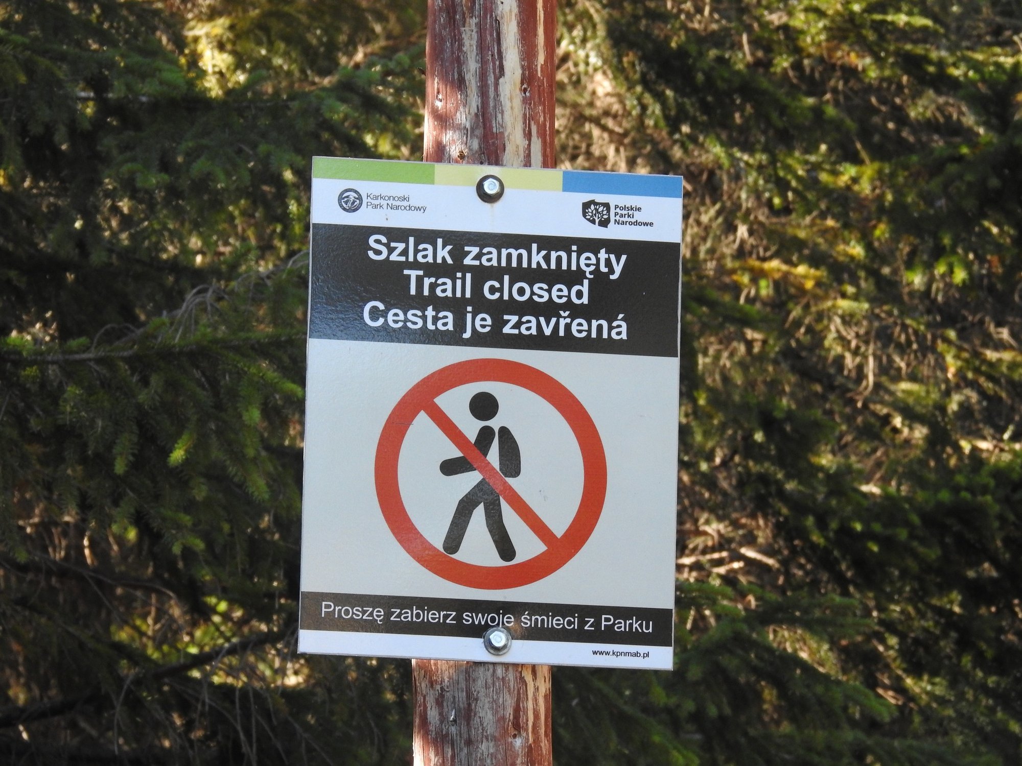 od-dzis-remont-kadek-118082