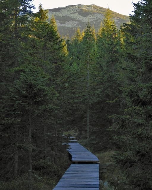 od-dzis-remont-kadek-118082
