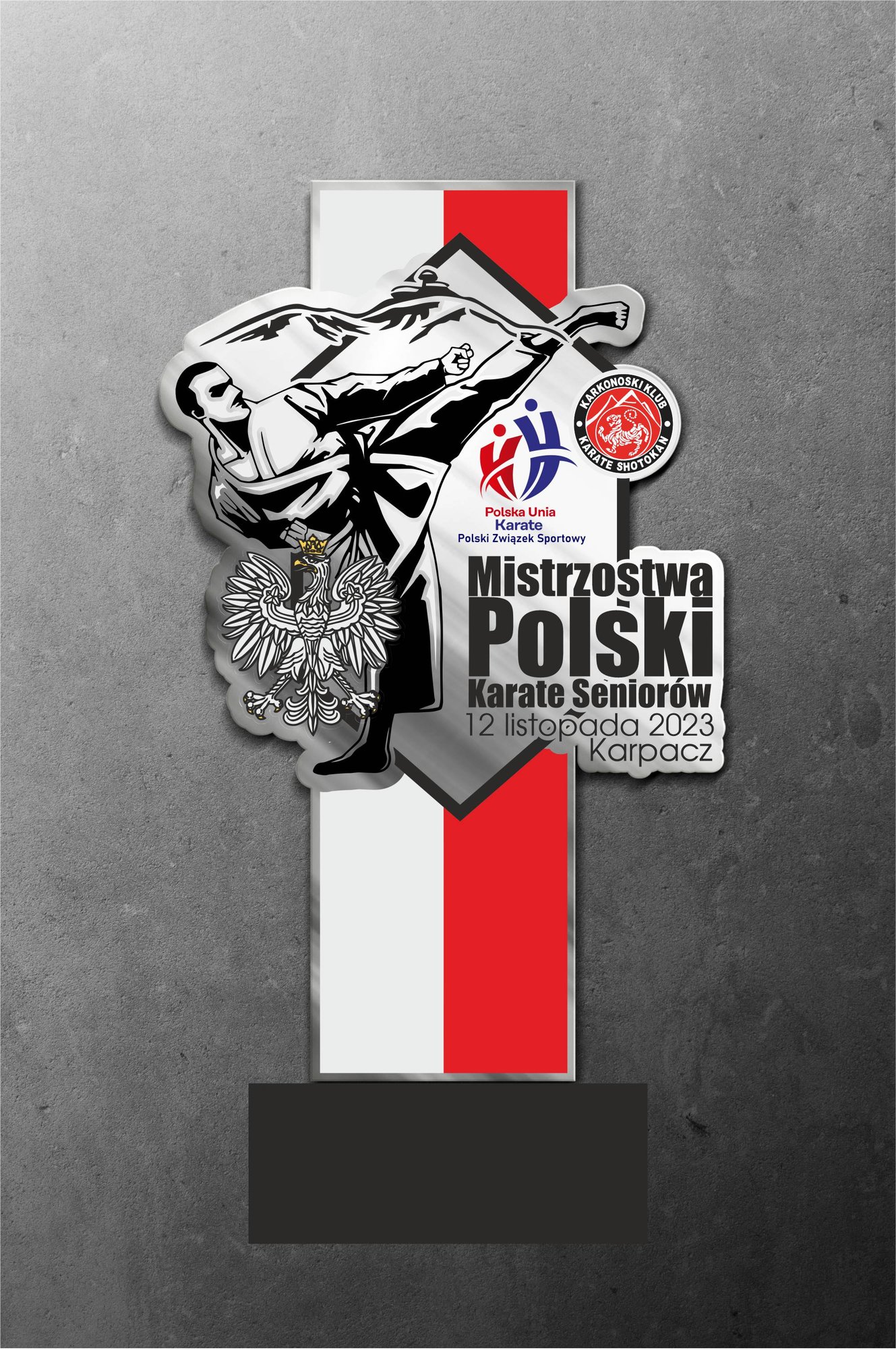 zorganizujemy-mistrzostwa-polski-118113
